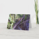 Search for bayou cards Swamp