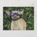 Search for goggles postcards Outdoors