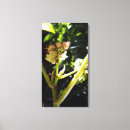 Search for castor posters Floral