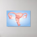 Search for female canvas prints Pink