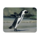 Search for beach walk magnets Ocean