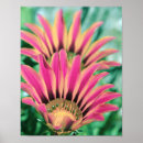 Search for hot pink art Garden