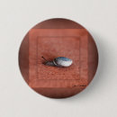 Search for macros badges Macro photography