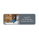 Search for blue jay address mailing accessories Bird