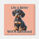 Search for dachshund magnets Animal