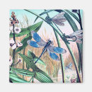 Search for blue pond magnets Dragonfly