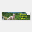 Search for retriever bumper stickers Puppy