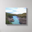 Search for patagonia art South america