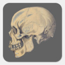 Search for skull illustrations stickers Cute