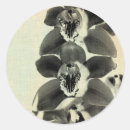 Search for ives round stickers Botanical