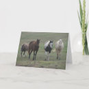 Search for ponies cards Pets