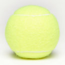 Search for blank tennis balls Professional