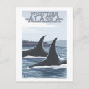Search for alaska postcards Orca