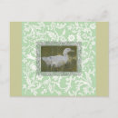 Search for wild duck postcards Animals