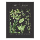 Search for cooking herbs posters Plants