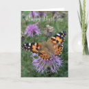 Search for wildlife photography cards Orange