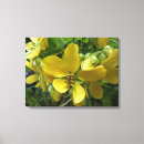 Search for shower canvas prints Nature