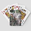 Search for koala bear playing cards Animal