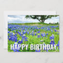 Search for happy spring photo cards Wildflowers