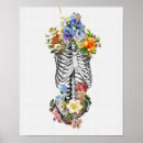 Search for medical art Anatomical