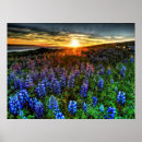 Search for depth photography Landscape