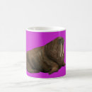 Search for walrus mugs Nature