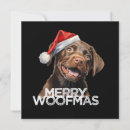 Search for chocolate labrador christmas cards Santa