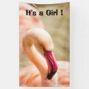 Search for its a girl signs Baby girl shower