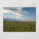 Search for corn field postcards Iowa