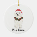 Search for coton de tulear christmas tree decorations Dog