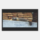 Search for marmot stickers Groundhogs