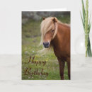 Search for horse birthday cards Animal
