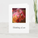 Search for gerbera cards Daisies
