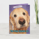 Search for dog meme postcards Humour