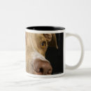 Search for pit bull dog mugs Pets