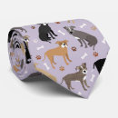 Search for pitbull accessories Staffordshire bull terrier