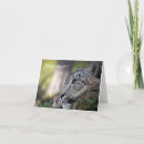 Search for leopard digital cards Wildlife
