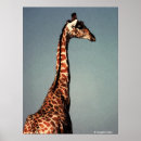 Search for wild africa posters Giraffe