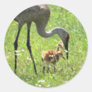 Search for paper crane stickers Birds