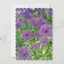 Search for onion cards Gardening