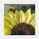 Search for summertime magnets Yellow