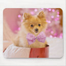 Search for dogs mouse mats Puppy