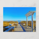 Search for head in sand postcards South carolina