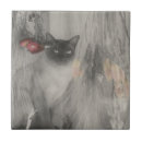 Search for black and white photo tiles Cute