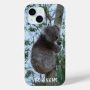 Search for cute koala cases Wildlife