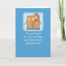Search for cat in box cards Humour