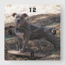 Search for skateboard clocks Dog