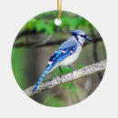 Search for blue jay bird christmas tree decorations Birdwatcher