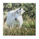 Search for ponies tiles Cute