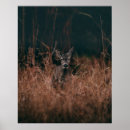 Search for wildlife photography posters Natural